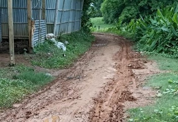 Double Engine or Trouble Engine : Roads turned into pathetic shape due to negligence in renovating in Bamutia